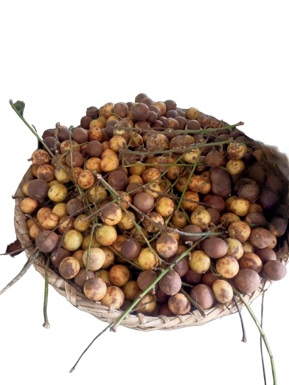 Burmese Grapes